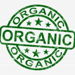 Buy Organic Search Traffic - What Do SEOs Do When Google Removes Organic Search Traffic